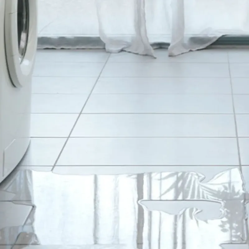 Appliance Leak Cleanup in Jackson County, MI