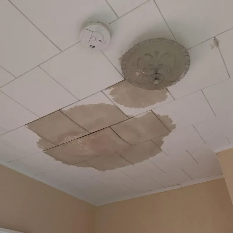 Ceiling Water Damage Repair in Jackson County, MI