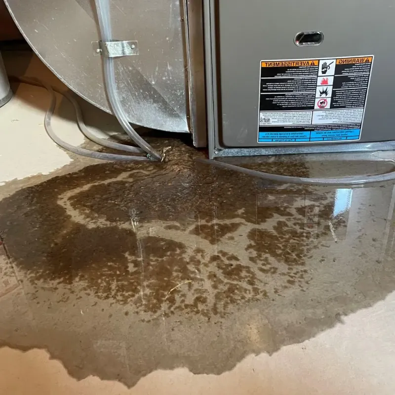 Pipe Burst and Leak Restoration in Jackson County, MI