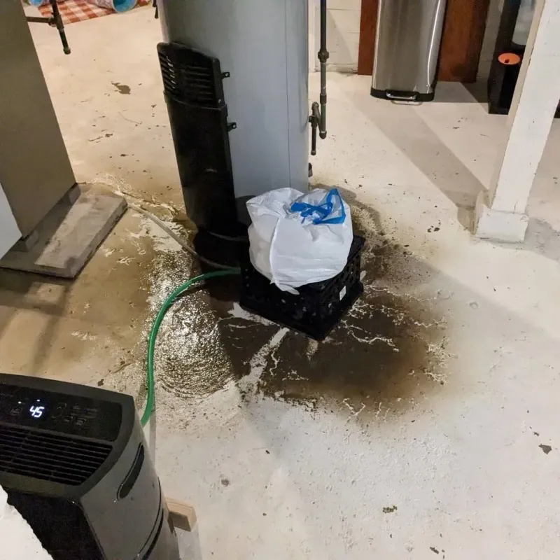 Sewage Backup Cleanup Service in Jackson County, MI
